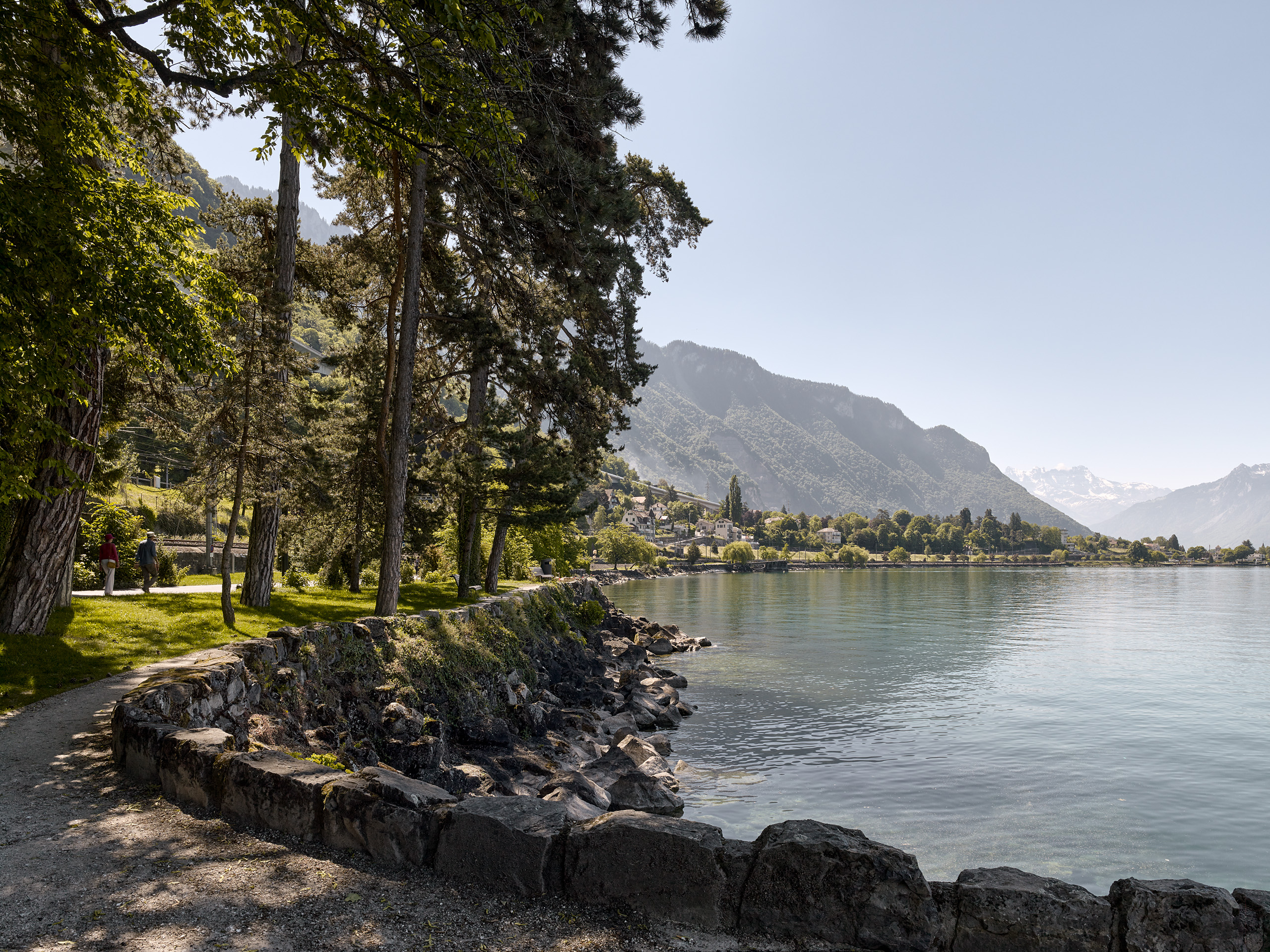 Ahp0013 alpa 100790 C